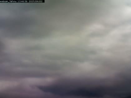 2025-08-02