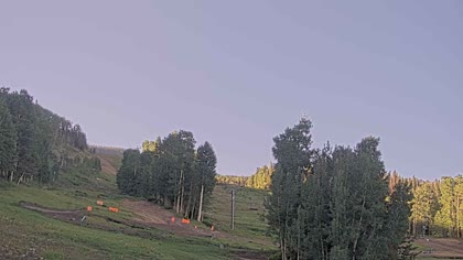 2025-07-09