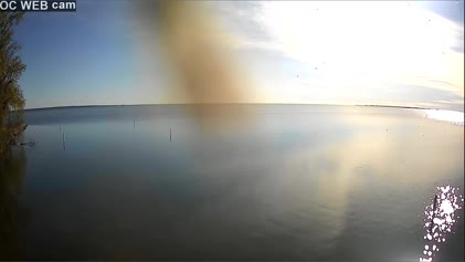 2025-05-26