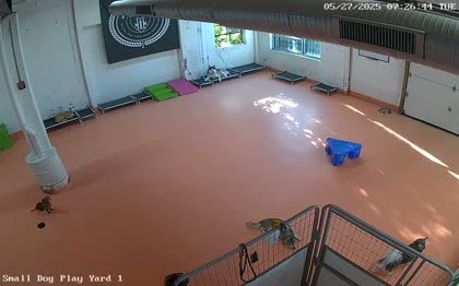 2025-05-27