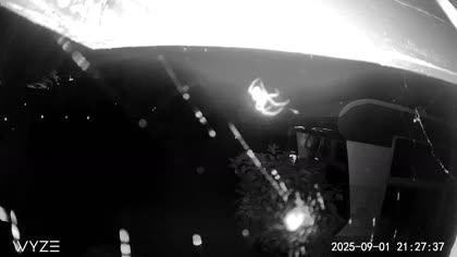 2025-09-02