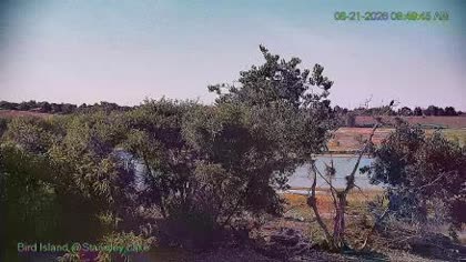 2026-08-21
