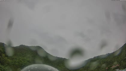 2025-10-08
