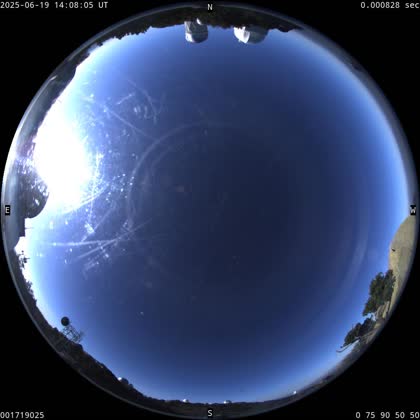 2025-06-19