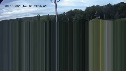 2025-08-19