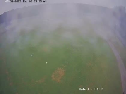 2025-07-31