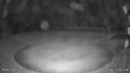 2025-10-05