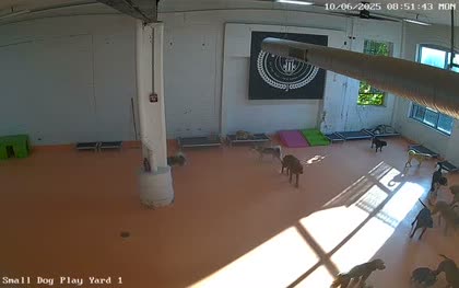 2025-10-06
