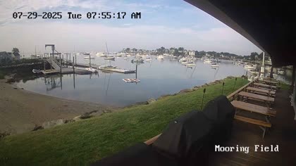 2025-07-29