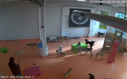 2025-10-26