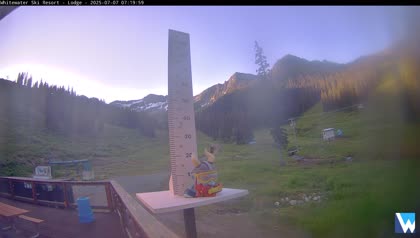2025-07-07