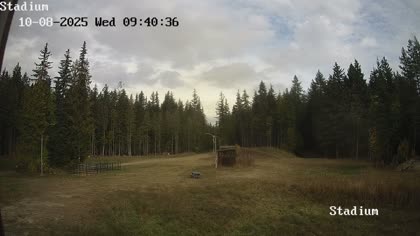 2025-10-08
