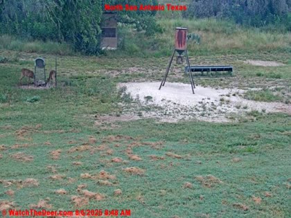 2025-08-06