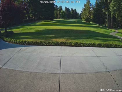 2025-08-08