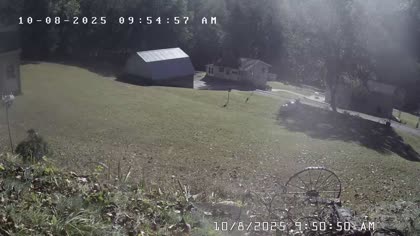 2025-10-08