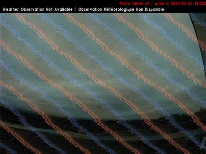 2025-05-25
