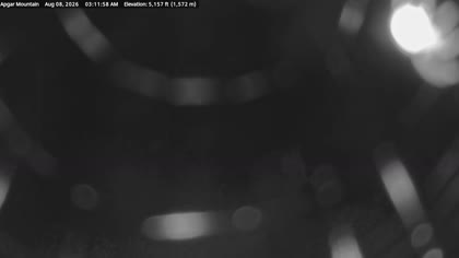 2026-08-08