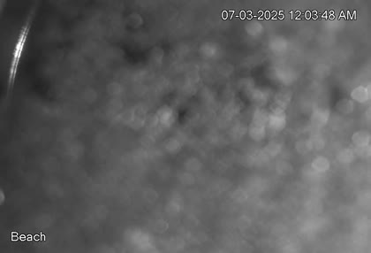 2025-07-03