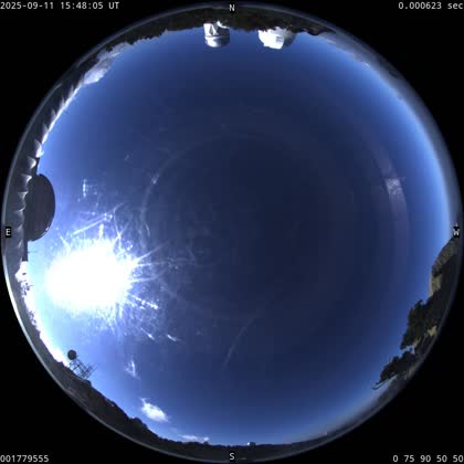 2025-09-11