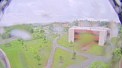 2025-06-09
