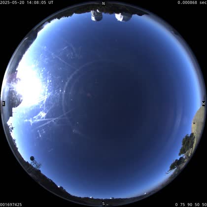 2025-05-20