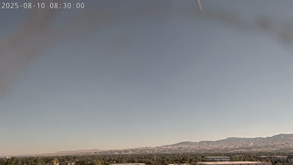 2025-08-10