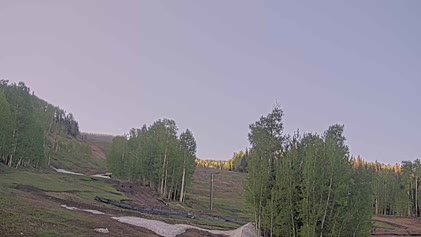2025-06-08