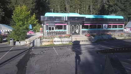 2025-08-08