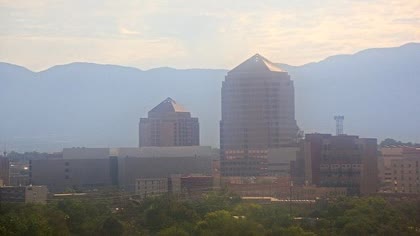 2025-07-31