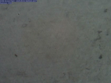 2025-05-01