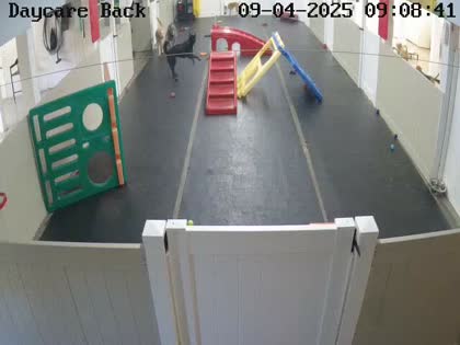 2025-09-04