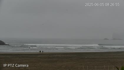 2025-06-05