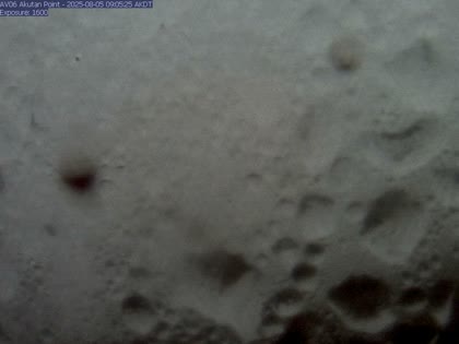 2025-08-05