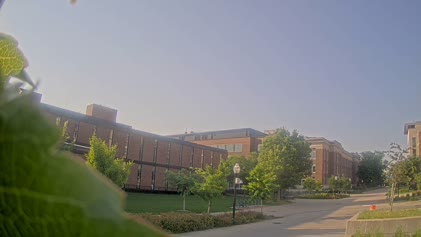 2025-06-05