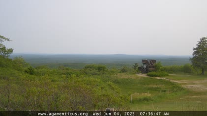 2025-06-04