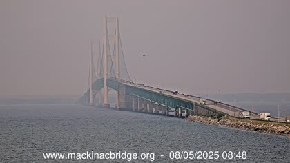 2025-08-05