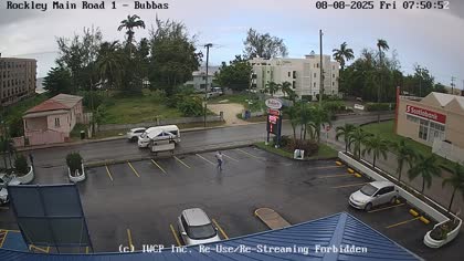2025-08-08