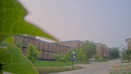 2025-06-01