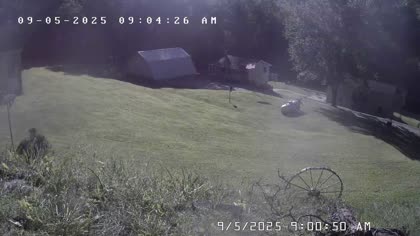 2025-09-05