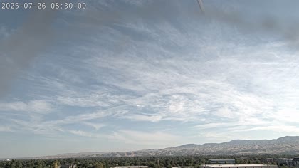 2025-07-26