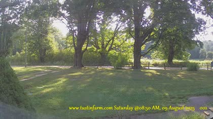 2025-08-09