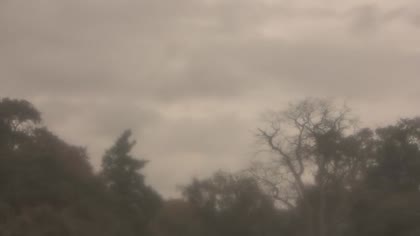 2025-10-11