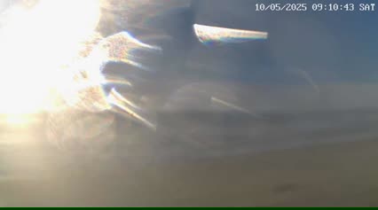 2025-05-09