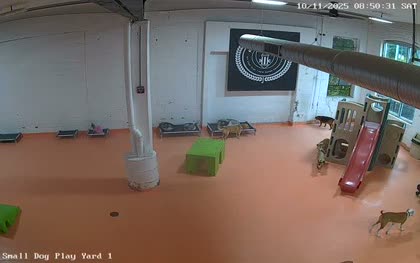 2025-10-11