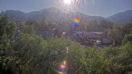 2025-06-19