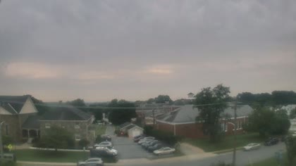 2025-08-05