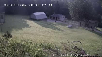 2025-08-04