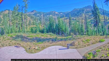 2026-08-09