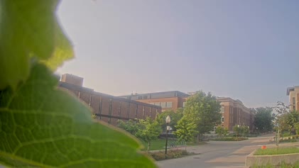 2025-06-07