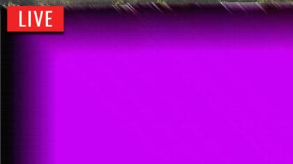 2025-09-08